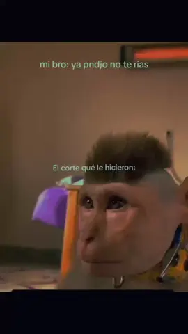 Mi compa con ese corte fachero... #parati #fyp #viral 