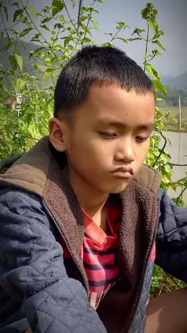 mùa đông của cọp kè #vanthuyvlog #xuhuongtiktok #viraltiktok 