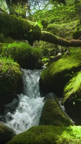 #Nature #Beauty #vairalvideo 