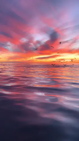 Cant get over how beautiful this was                                                             .              .                                                                #nature #ocean