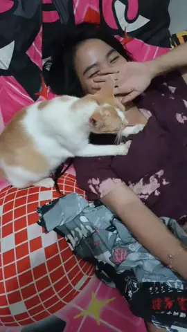 emang boleh 🥺😂 #kucingrandom #kucingkocak #gemeskucing #emangboleh #fypkucing 