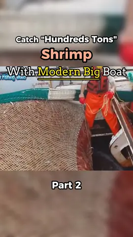 #funny #fyp #ocean #sea #fisherman #fish #shrimp #industrial 