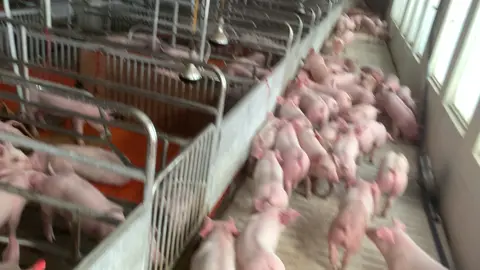Siêu phẩm cho các bác đây 🤣