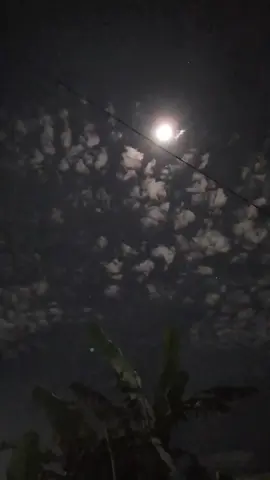 suasana di malam hari bulan nya cerah sekali 