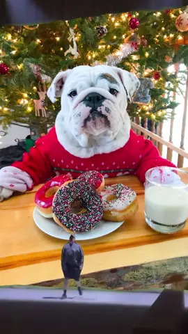 You're welcome...🙌🏻😂🎅🏼 #dogmom 
