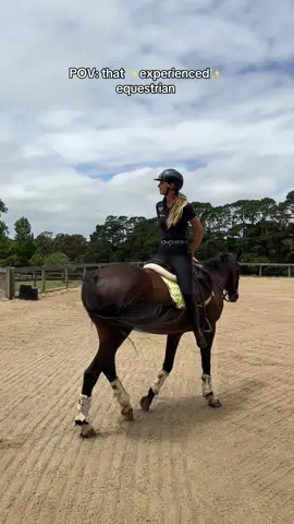 When you wear a full @Karen HH Equestrian fit you do what you have to do for the insta pic #ad  #equestrianlifestyle #horsetok #equestrianlife #equestriantok #showjumper #warmblood #relatableequestriantiktok #relatableequestriantiktok #equestrianmemes #equestrianhumor #horsememes #horsehumor #pov #funny #equestrianfashion 