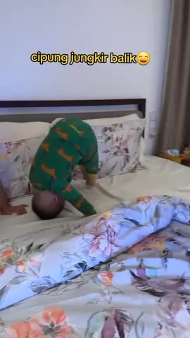 kocak pung jungkir balik🤣 #videoladyGigi #Rayyanza #cipung #fyp #fypシ゚viral  #fypシ 