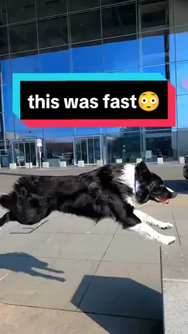 Ninja in full speed mode😍⚡  how can he do it so effortless?  Ninja the 