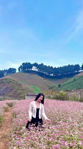 Sau này cái gì em cũng có thể cho anh .. Kể cả nợ :))