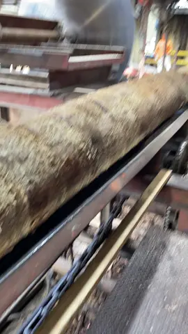 #veneertok #worklife #jfypage #fypシ #wood 