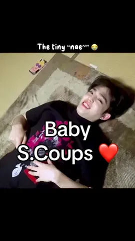 In a world of boys, there’s baby Seungcheolie ❤️ #Scoups #Seungcheol #Seventeen #에스쿱스 #세븐틴 #foryoupage #fyp #xuhuong #myddadu