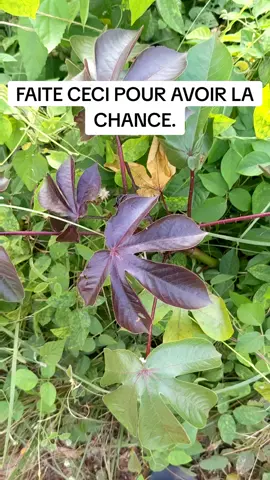 astuces pour avoir la chance #astuces #vue #visibilité #fypシ゚viral #trend 