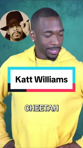 I know cheetahs are the fastest don't @ me.  #jaypharoah #kattwilliams #celebrityimpressions #comedy #jokes #cats 