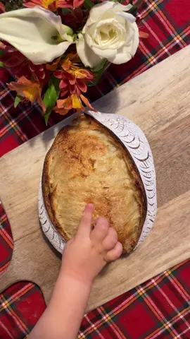 When your mini perfectly captures how every sourdough baker feels about their bread. 🤣💕🥖 BREEEEEAAAAAD 👏🏻👏🏻👏🏻 #breadtok #breadstickricky #cutekids #bakingwithlove #bakingwithkids #sourdough #sourdoughbread #wildyeast #homesteading #homesteader #baker #homesteadingmomma #homemade #breadlover #ilovebread 