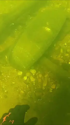 #underwater #treasure #fyp