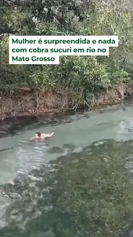 QUE MEDO 😱 - Uma #mulher foi surpreendida por uma #cobra #sucuri enquanto #nadava no Rio Formoso, região turística que fica em Bonito, no estado de Mato Grosso do Sul (MS). O registro foi feito por pessoas que estavam com a turista. #otempo