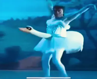 #swanlake #swanlakeballet #comico #parody #parodia #illagodeicigni #tchaykovski #ballettoclassico #ballet #balletdancer #ballerina 
