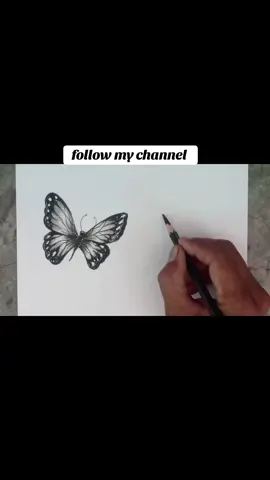 How to draw butterflies with pencil easy | Butterfly wings drawing sketching #foryou  #fyp  #pencildrawing  #drawing786 @tiktokglobal @TikTok Trends @TiktokPakistanOfficial @Kᴀᴍᴀʟ Bᴇᴀᴛs 