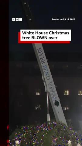 Gusty winds brought the National Christmas tree crashing down outside the White House. #ChristmasTrees #christmas #holidays #festive #WhiteHouse #US #WashingtonDC #BBCNews