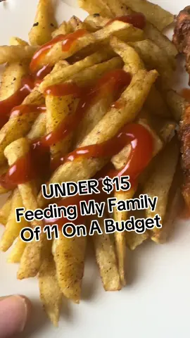 Feeding my family on a budget #fyp #budget #budgetfriendlymeals 