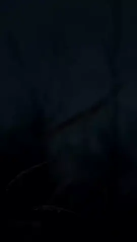 #اناشيد 
