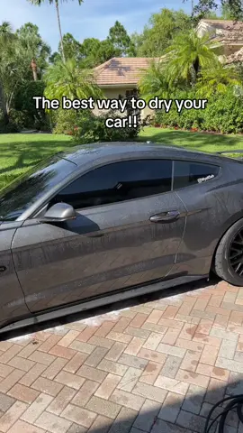 this thing is such a life saver😭 #fyp #cars #mustang #mustanggt #carsoftiktok 