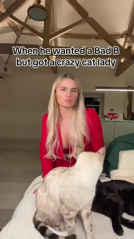 #fypシ #catsoftiktok 