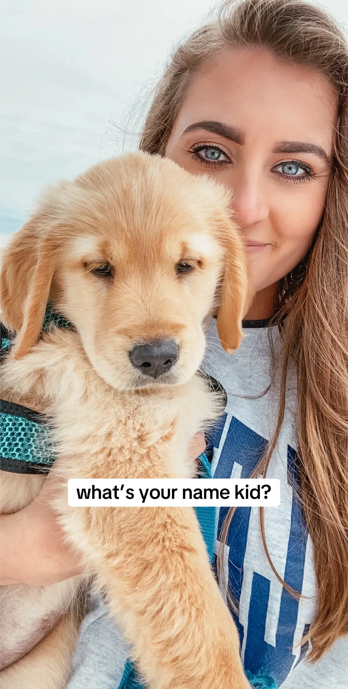 Obsessed with the ball as any retriever should be 😂 #goldenretriever #goldenretrieverlife #goldenretrieverpuppy #dogsoftiktok #puppytiktok #puppylove #goldenhour #goldensoftiktok 