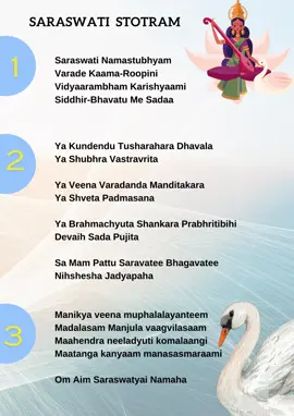 Saraswathi Stotram