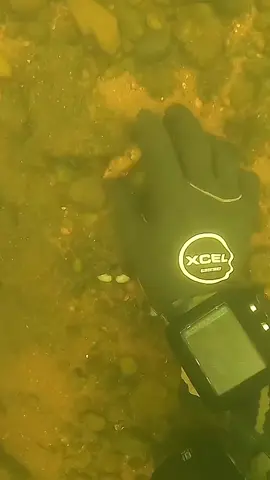 #underwater #treasure #fyp