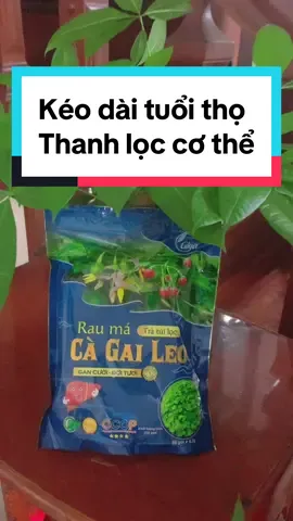 Thư giãn buổi tối - Thanh lọc cơ thể #giga #gigaherbs #xuhuong #giaidocgan 