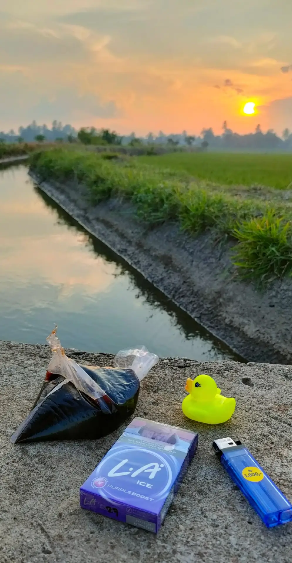 Yoh gek di agendakan nyunset seng rodok adoh wes ready polll🤘 #nyorechek #nyoreride #sunsetlover #nyoredisawah #sunsetvibes #lampungpride #xyzbca #lampungtiktok