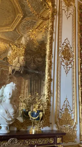 Literally cried seeing her bedroom for the first time 💗 #versailles #marieantoinette #rococoaesthetic #coquetteaesthetic 