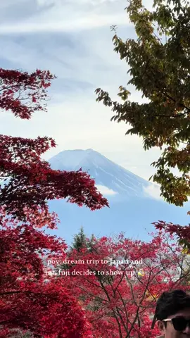 Mt. Fuji✨