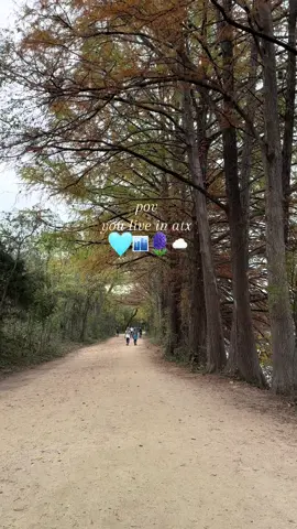 My soul needed this 🤍 #fyp #atx #atxlife #austintx #austintexas #austin #texas #texascheck #family #familytime #bonding #MentalHealth #physicalhealth #Lifestyle #fall #november 