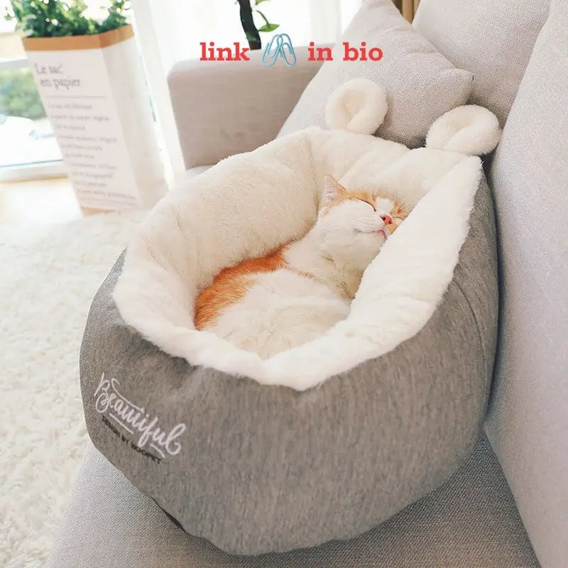 Pet Dog Bed Warming Soft Sleeping Bag  #cat #bed #fyp #foryou #foryourpage #viralvideo #viral #capcut @Sebastian Schieren 