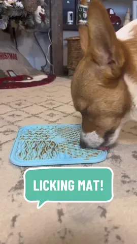 an absolute must have!  #lickingmatsfordogs #lickingmat #lickingmatfordogs #dogslowfeeders #slowfeeder 
