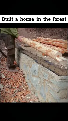 Built a house in the forest #build #camping #outdoor #survival #shelter #foryou 