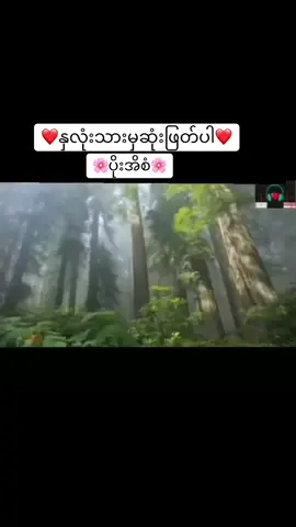 #tiktok #fpy_tiktok #ရောက်စမ်းfypပေါ်😒myanmartiktok🇲🇲 #နှလုံးသားမှဆုံးဖြတ်ပါ💕 💕💕😍😍🥰🥰🥰
