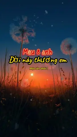 #CapCut Một lần thôi hãy để tôi yêu người..#xuhuong #xuhuongtiktok #tâmtrạng #nhachaymoingay #confide_one #capcutmaster 