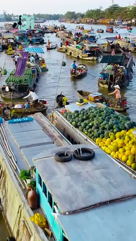Chợ nổi cái răng - cần thơ 😍#dulichvietnam #cantho #editvideo #vietnam 