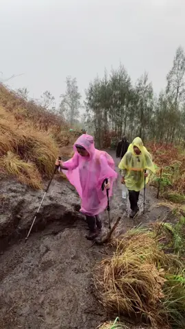 Dari Pos 3 menuju Pos 4 saat pendakian Rinjani. Tour guidenya bilang, saat itu kali pertama Rinjani diguyur hujan setelah kemarau panjang. Ini pendakian gunung pertama yang merasakan hujan & ternyata menyenangkan ☔️ #rinjani #rinjanimountain #traveltok 