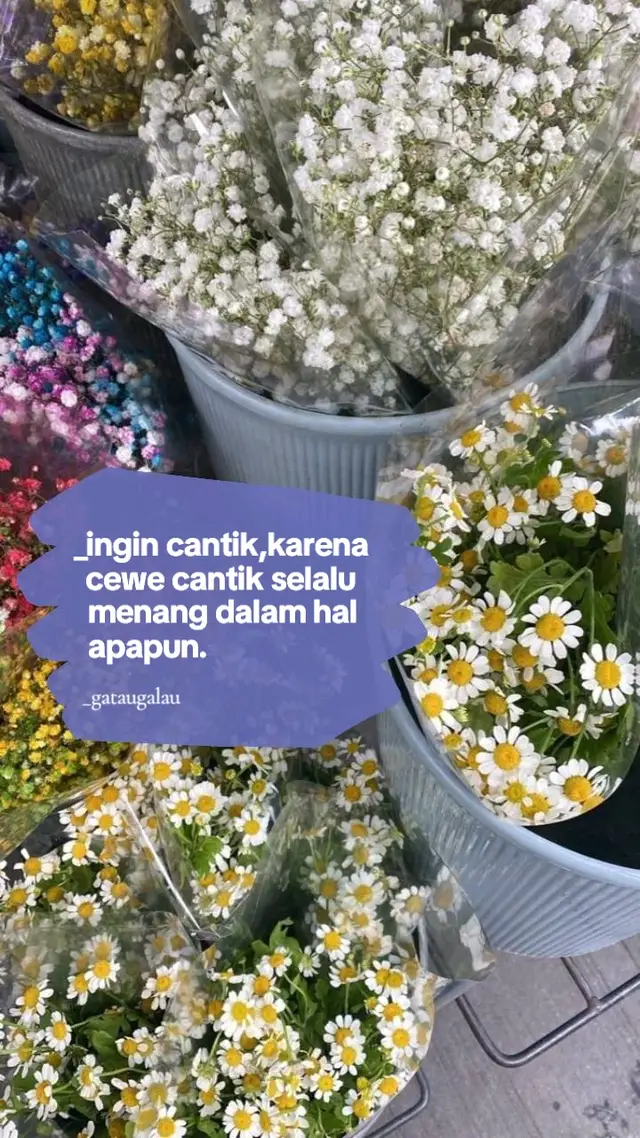 hal apapun. #qoutes #4u #fyp #yzxcba 