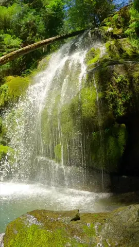 Capturing the mesmerizing dance of water beads cascading down mossy rocks and weaving through nature's artistry 😍 #waterfall #water #Hiking #slowmotion #gopro #NatureMagic #WaterfallWonders #MossyElegance #NaturePhotography #FlowingBeauty #godisgreat #naturesbeauty #oregon #pnwonderland 