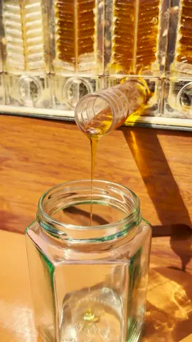 شاهد استخلاص العسل من خلية النحل  🐝🐝🐝🐝🐝🐝🐝🐝🐝