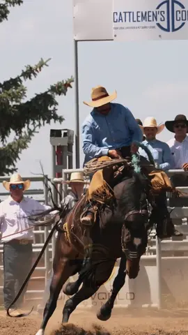 “You see, in this world, there’s two kinds of people, my friend – those with loaded guns, and those who dig. You dig.” – Clint Eastwood #horse#cowboy#rodeo