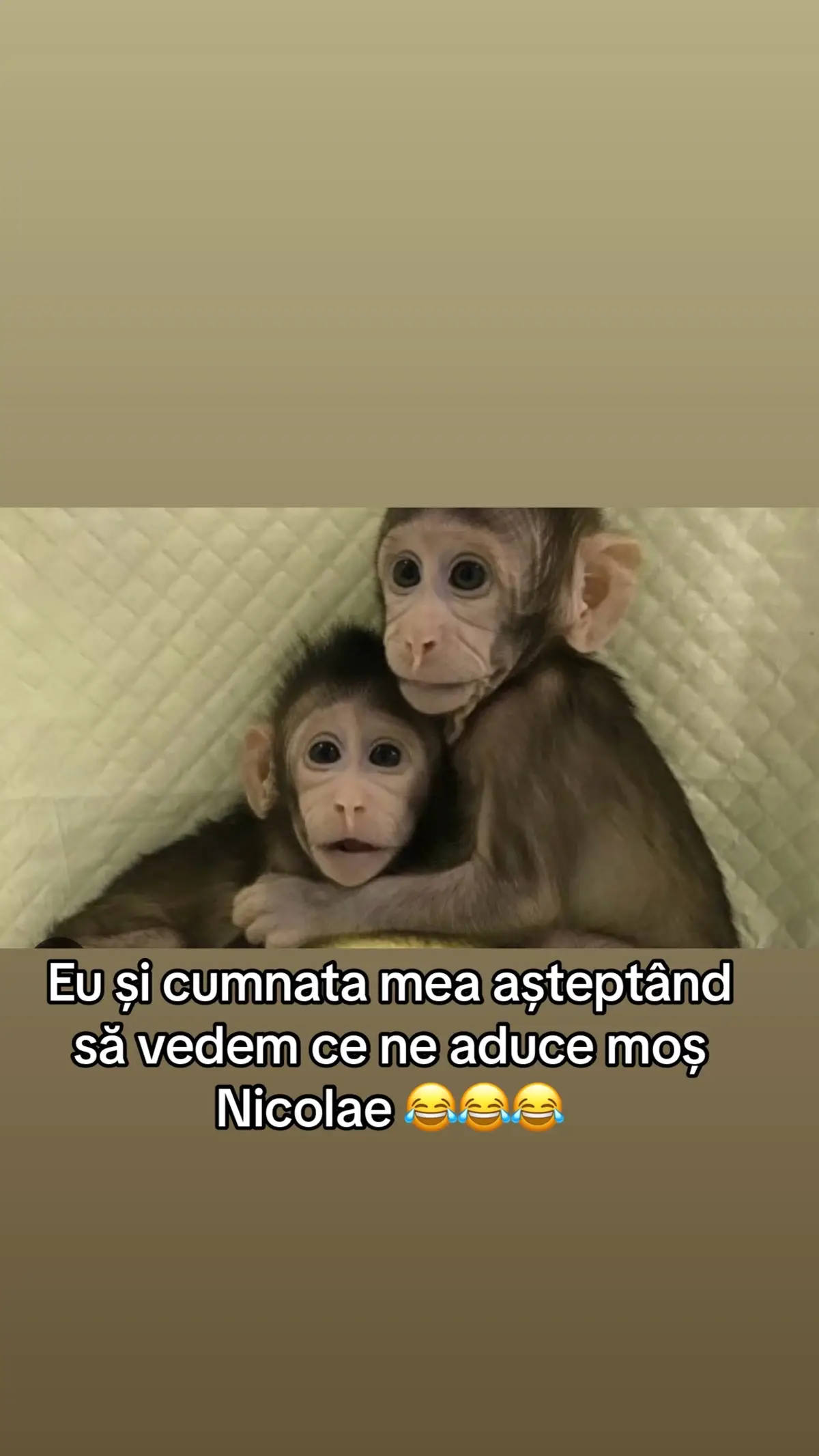 @Cristina T. Pătrună 😂😂😂❤️❤️❤️