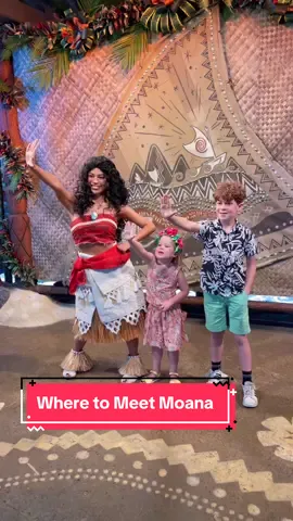 Do you know where to meet Moana at #waltdisneyworld ?  There are two locations whwre you can meet this wayfinding princess: near the new Journey of Water attraction in Epcot and at Character Landing in Disney’s Animal Kingdom 🌺🌊 #moana #moanameetandgreet #charactermeetandgreet #disneycharcters #disneyprincesses #moanaofmontunui #waltdisneyworld #disneyparks #iammoana 