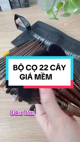 Bộ cọ 22 cây l.ông t.thú #BeautyReview #reviewlamdep #huempmakeup #xuhuong #bococanhan #bocochuyennghiep 