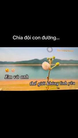 Em và anh nay mỗi người mỗi ngã...#xuhuongtiktok #xuhuong #phuongphuongcover #chiadoiconduong #viral 